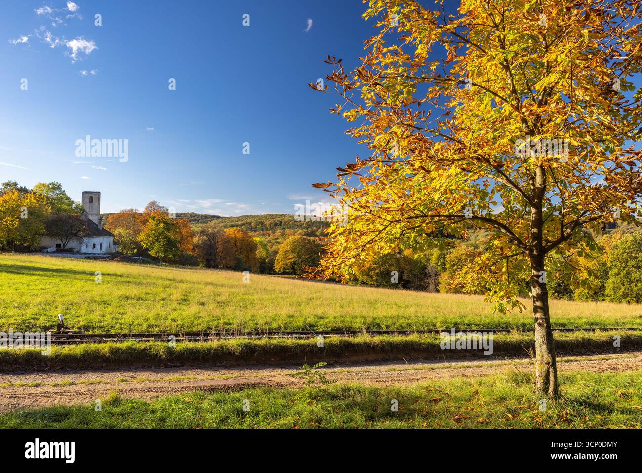 Herbstliche Landschaft: goldener Baum, grüne Wiese, historisches Gebäude, klarer blauer Himmel, friedliche ländliche Landschaft. Stockfoto