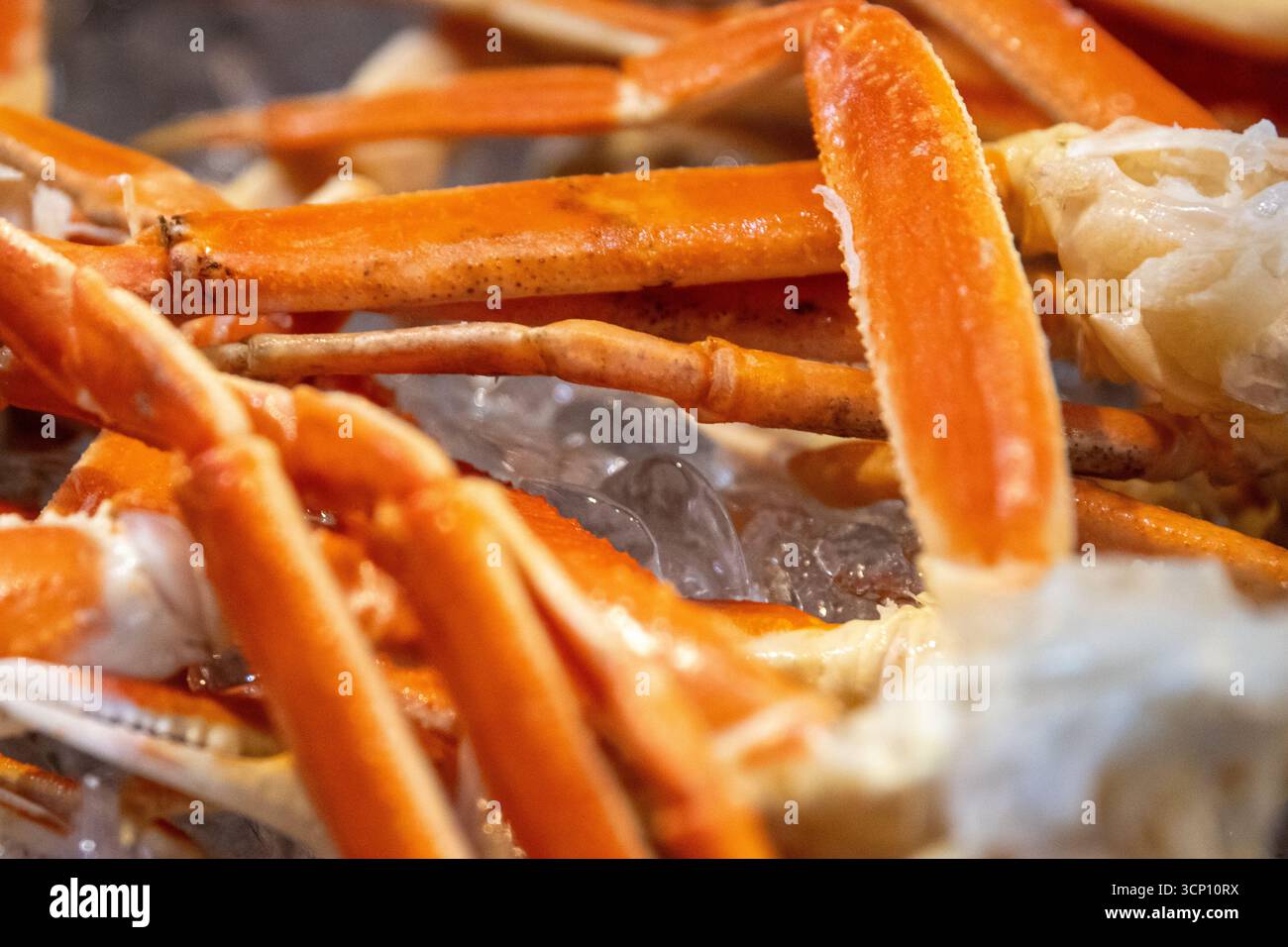 Schneekrabbenbeine werden auf Eis gekühlt Stockfoto