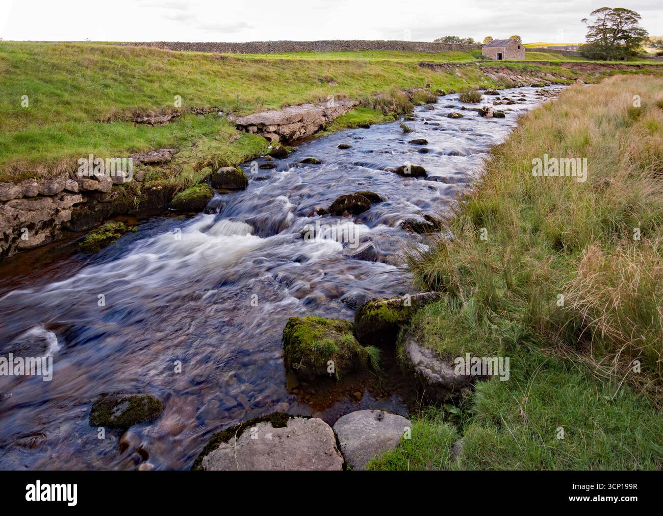 Lange Presto Back..... Kurz bevor sie unter der Newhouse Lane, Long Preston, North Yorkshire passiert. Stockfoto