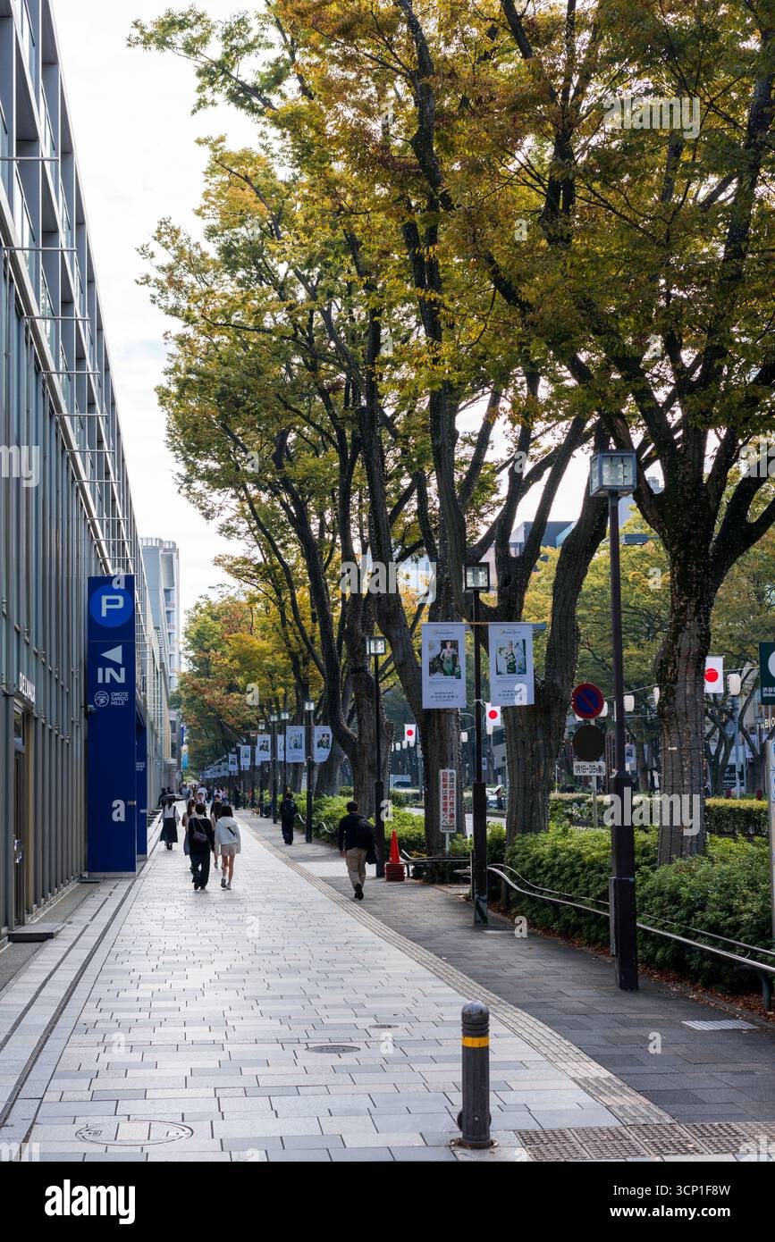 TOKIO, JAPAN - 27. OKTOBER 2024 - vertikales Bild des Bürgersteigs der berühmten Omote Sando Avenue in tokio Stockfoto