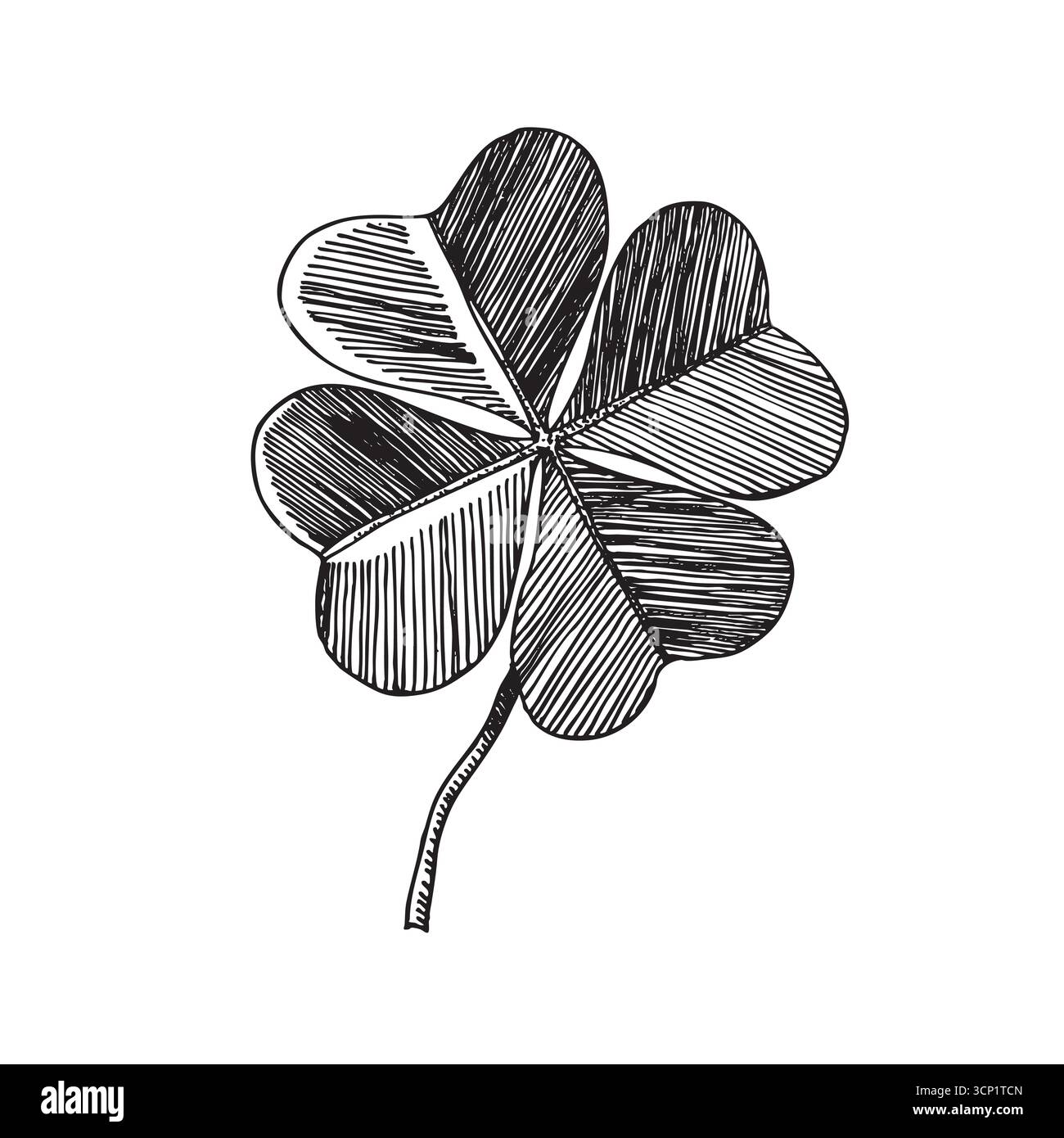 Klee verlässt Skizze. Dekorative Symbole für Skelett-Blätter. Handgezeichnete Vektorgrafik. Minimalistischer Stil. St. Patrick's Day Elemente Stock Vektor