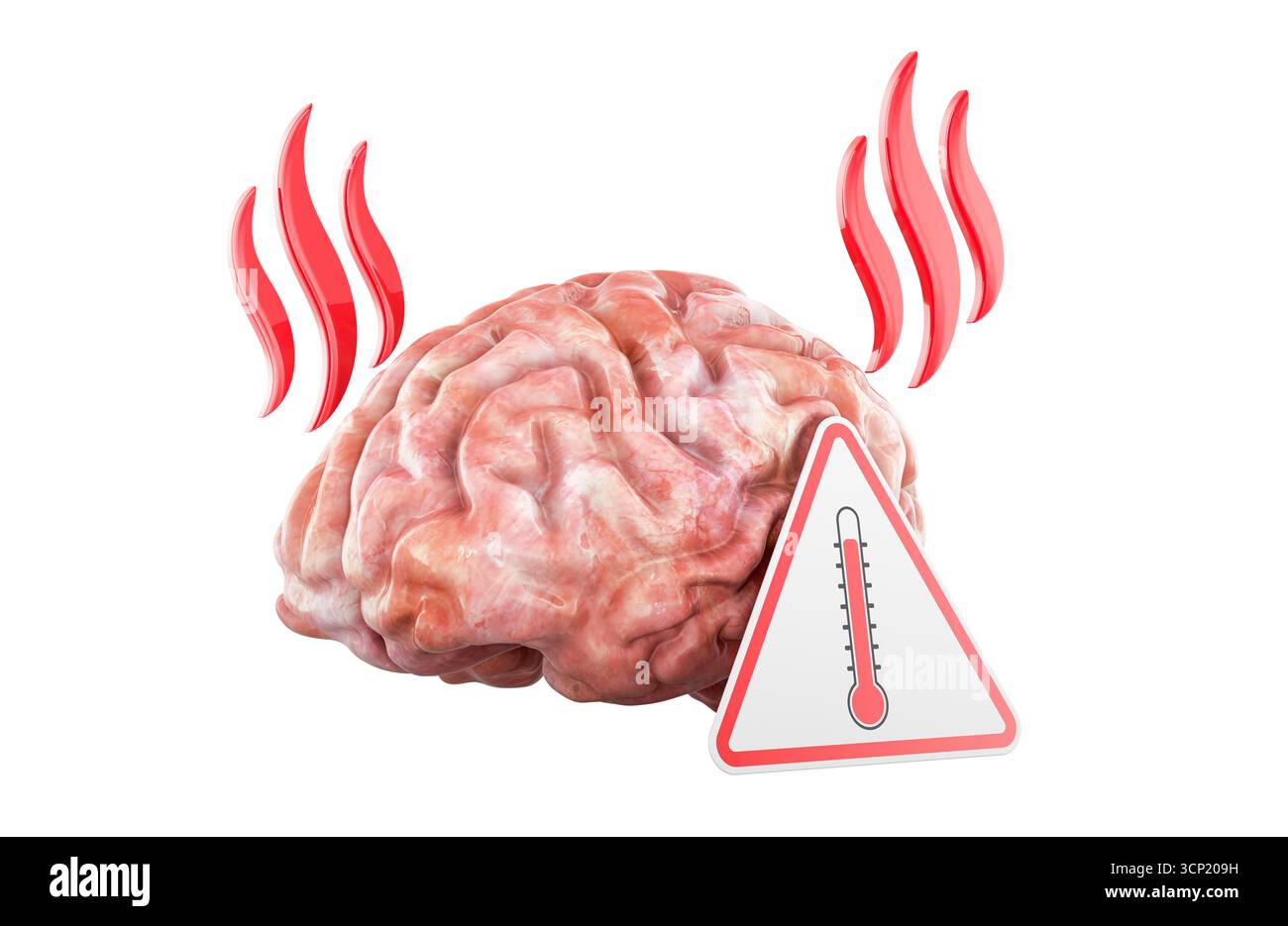 Überhitztes Gehirn mit Hitzewellen und Thermometerzeichen. 3D-Rendering isoliert auf weißem Hintergrund Stockfoto