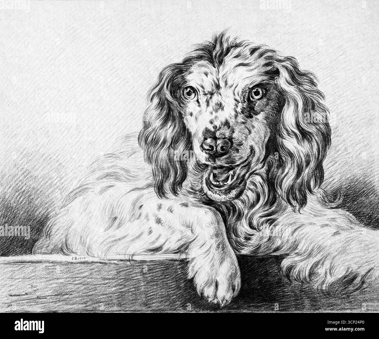 Dog (1802) von Jean Bernard (1775–1883) – französische Tierzeichnung aus dem 19. Jahrhundert, Rural Domestic Dog Study, Original aus dem Rijksmuseum Stockfoto