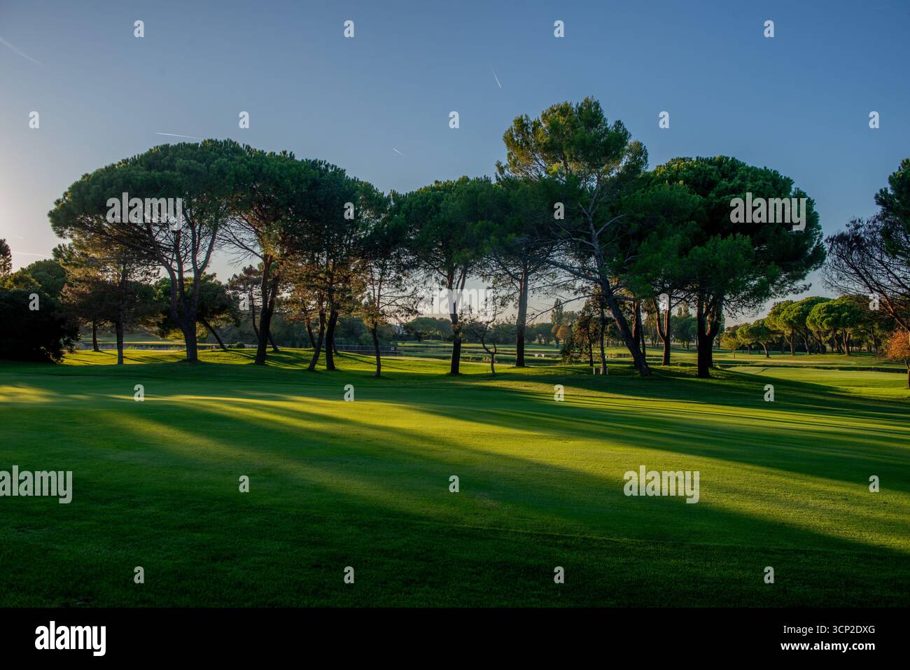 Golfplatz mit Bäumen und Teich Stockfoto
