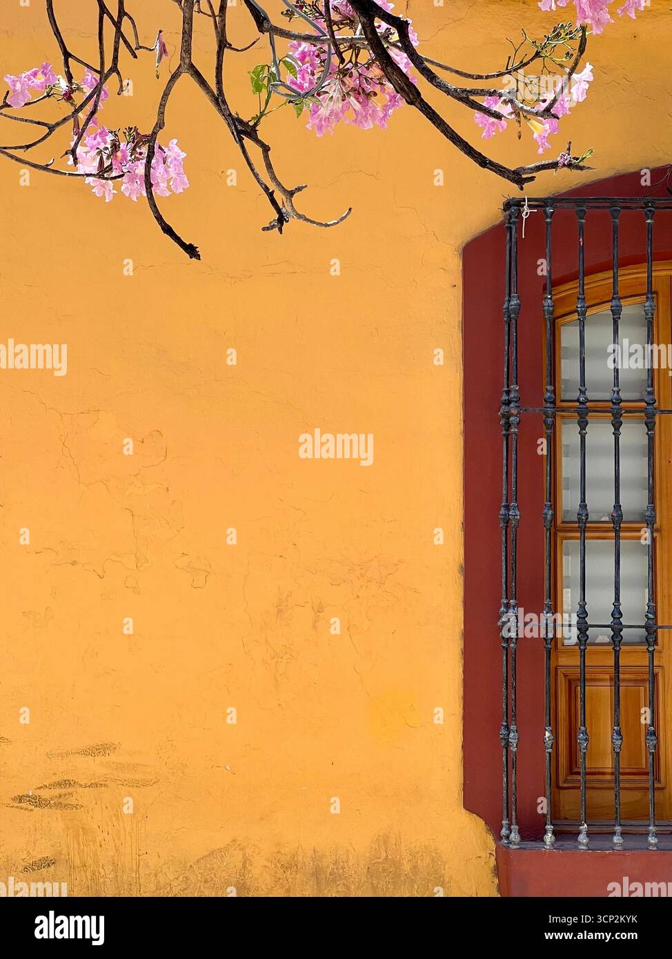 Ostern Oaxaca, mexiko - Smartphone-aufgenommenes Stockfoto