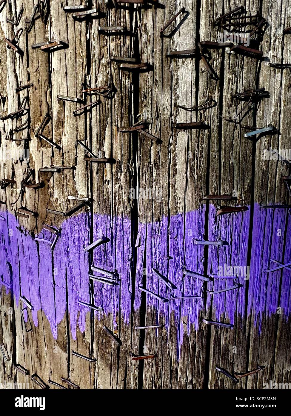 Holz und Heftklammern - Smartphone-aufgenommenes Stockfoto