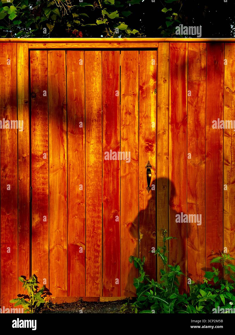 Schatten einer Frau - Smartphone-aufgenommenes Stockfoto