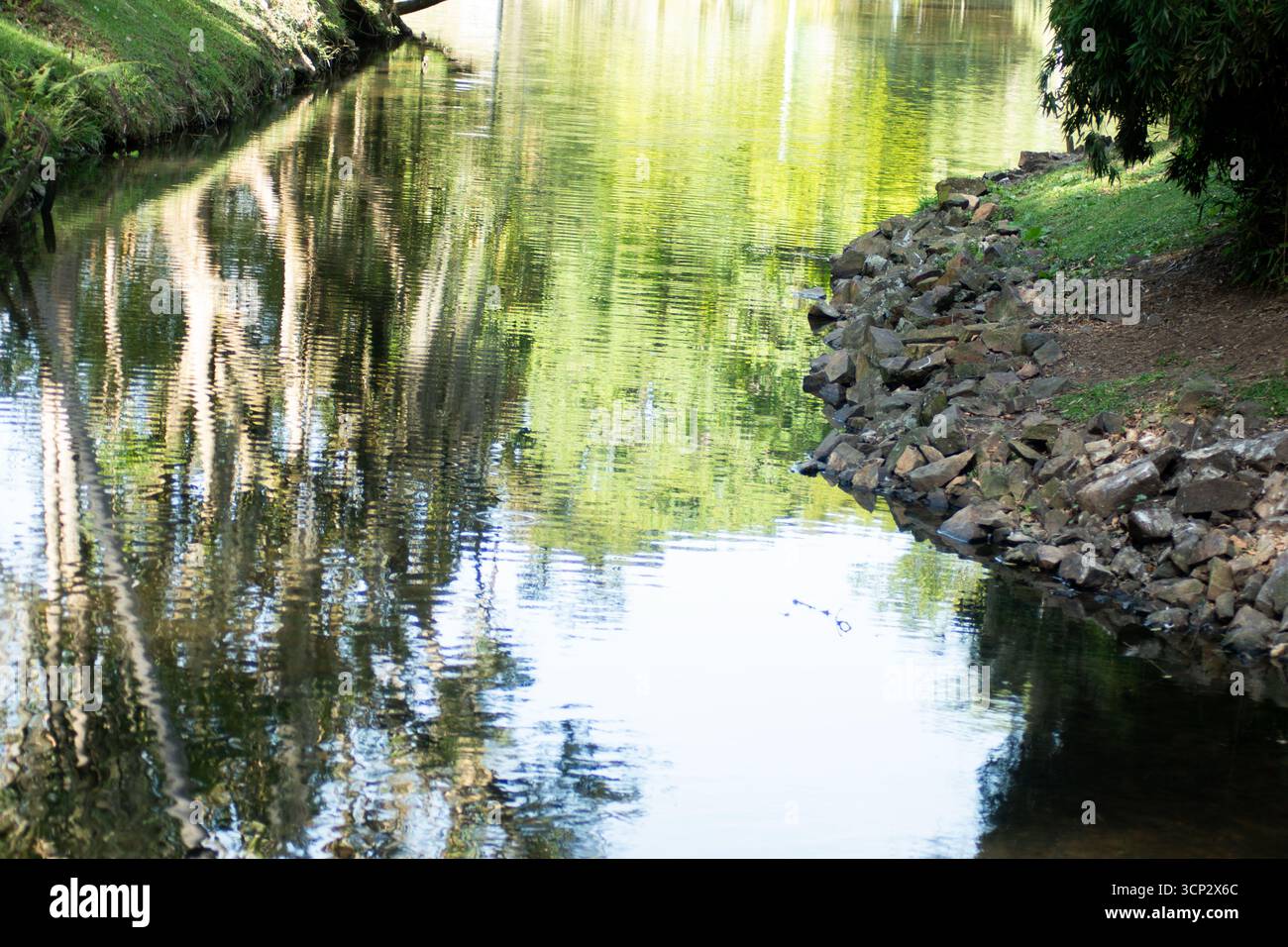Ruhiger Fluss mit grünem Laub Stockfoto