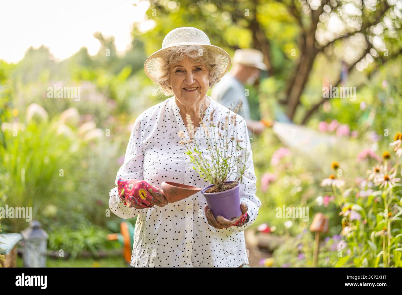 Lächelnde Seniorin in ihrem Garten an einem sonnigen Tag Stockfoto