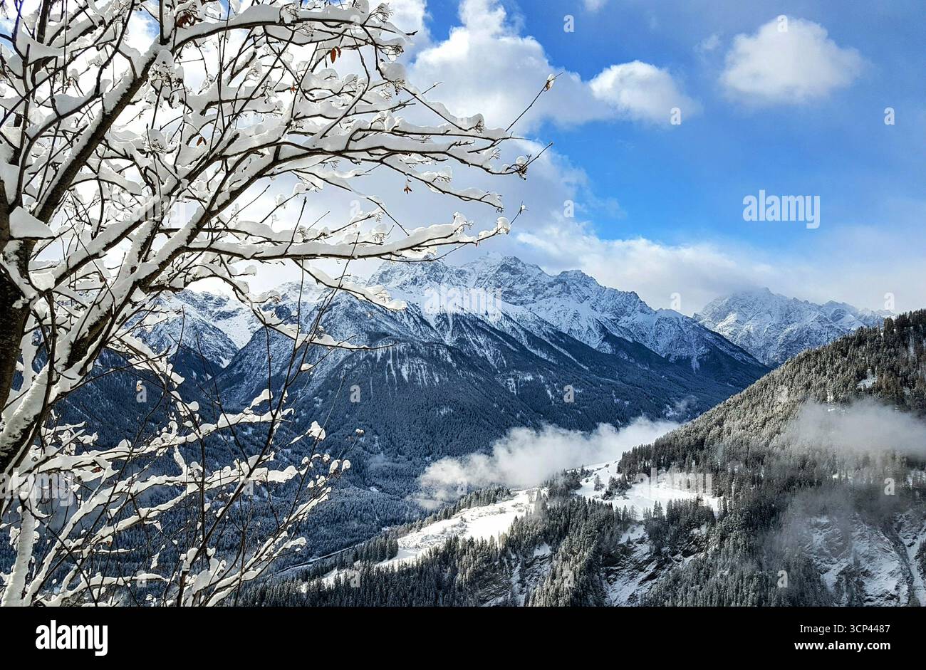 Landschaft des natürlich schneebedeckten Baumes im Vordergrund in den Schweizer Alpen mit Blick auf das Gebirge und das Engadintal, Schweiz Stockfoto