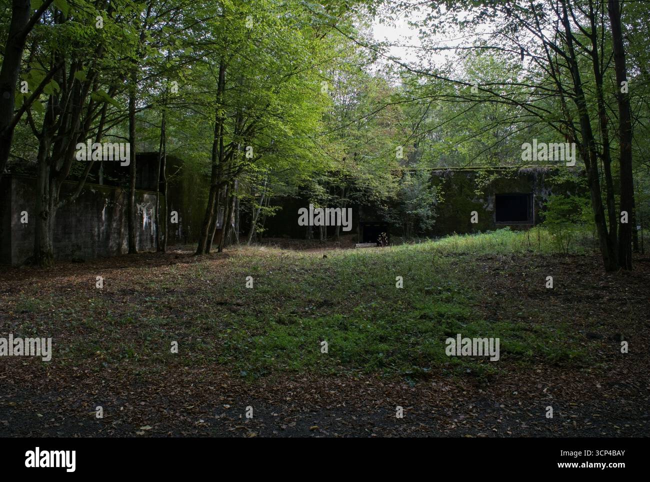 Inowlodz, Polen - 13. September 2025: Führerzentrale Anlage Mitte. Hier wurden ein 380 Meter langer Zugbunker und weitere große Bunker errichtet. Sonnig Stockfoto