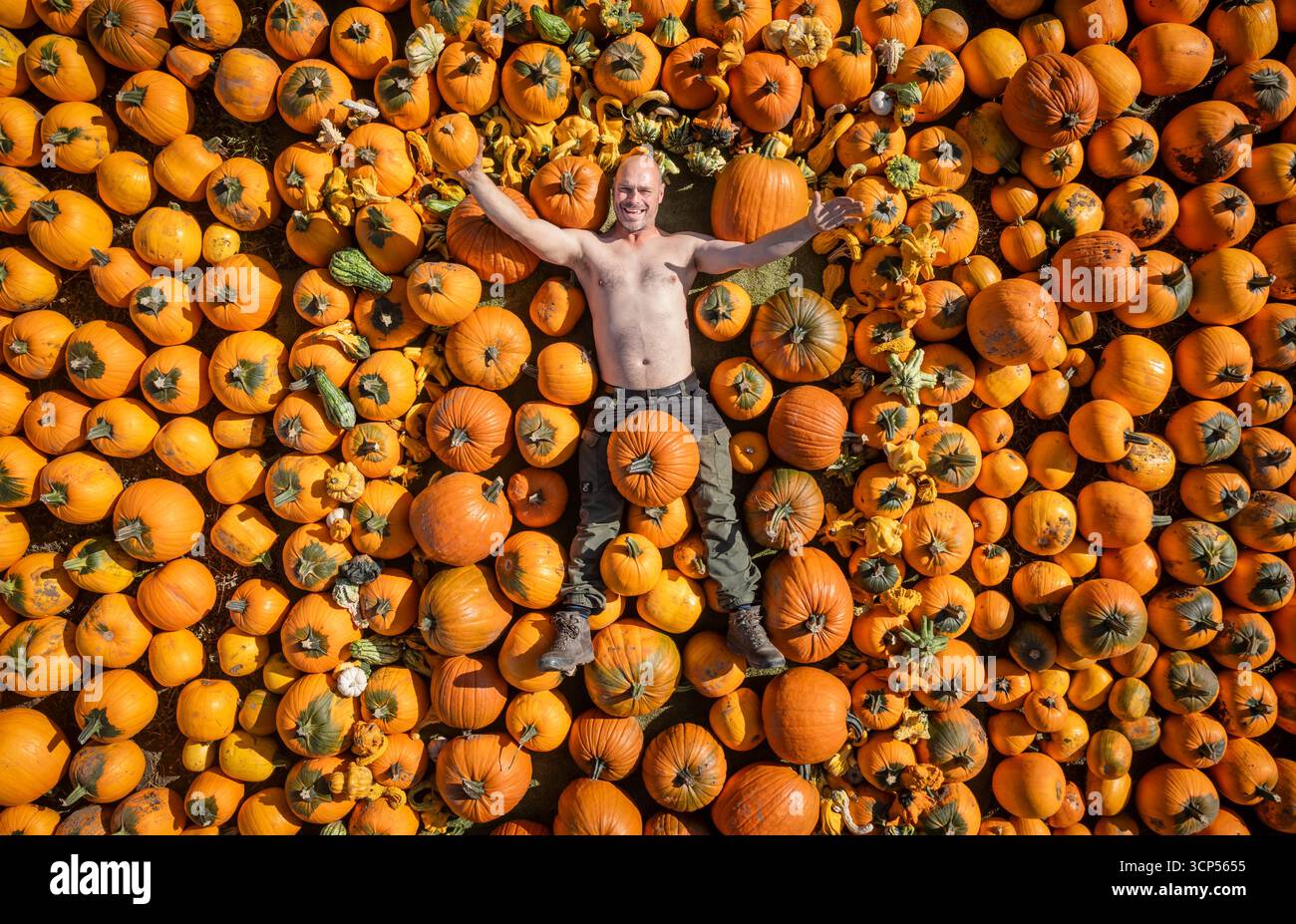 Bauer Tom Spilman mit einigen der 150.000 Kürbisse, die auf der Spilman's Pumpkin Farm in Sessay, nahe Thirsk, North Yorkshire, vor der Eröffnung des Pumpkin fest 2025 am Samstag geerntet wurden. Bilddatum: Mittwoch, 24. September 2025. Stockfoto