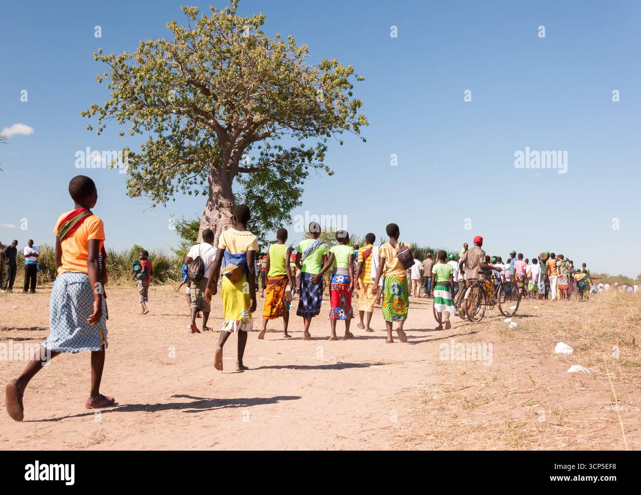 Provinz tete, Mosambik - 2. Mai 2012: Dorfbewohner schlendern an einem hoch aufragenden Baobab-Baum vorbei auf dem Weg zu einer Wahlkampfveranstaltung in Mosambik. Stockfoto