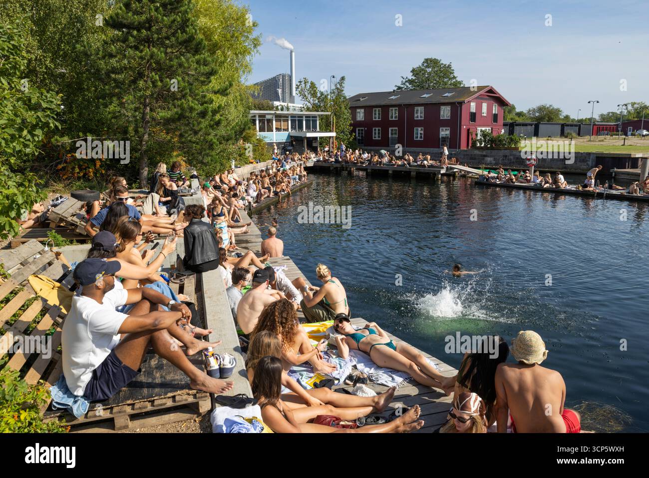 Schwimmen und Sonnenbaden in der Region Refshaleoen, Kopenhagen, Neuseeland, Dänemark, Europa Stockfoto