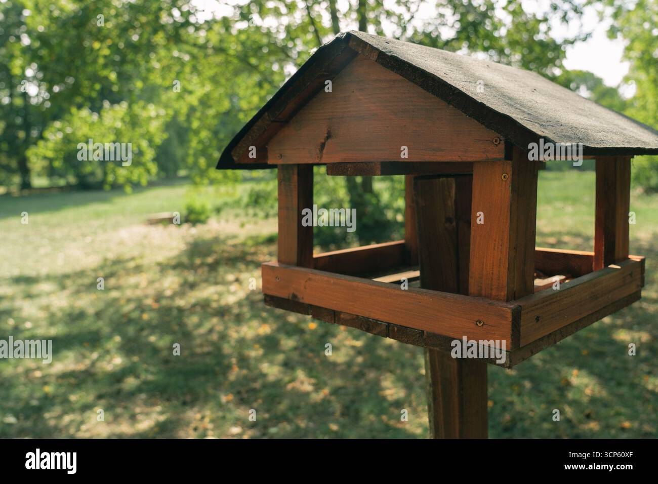 Nahaufnahme verwitterter Holzstruktur mit natürlichen Rissen und Körnung, ideal für Hintergründe, Designprojekte und rustikale Muster. Stockfoto