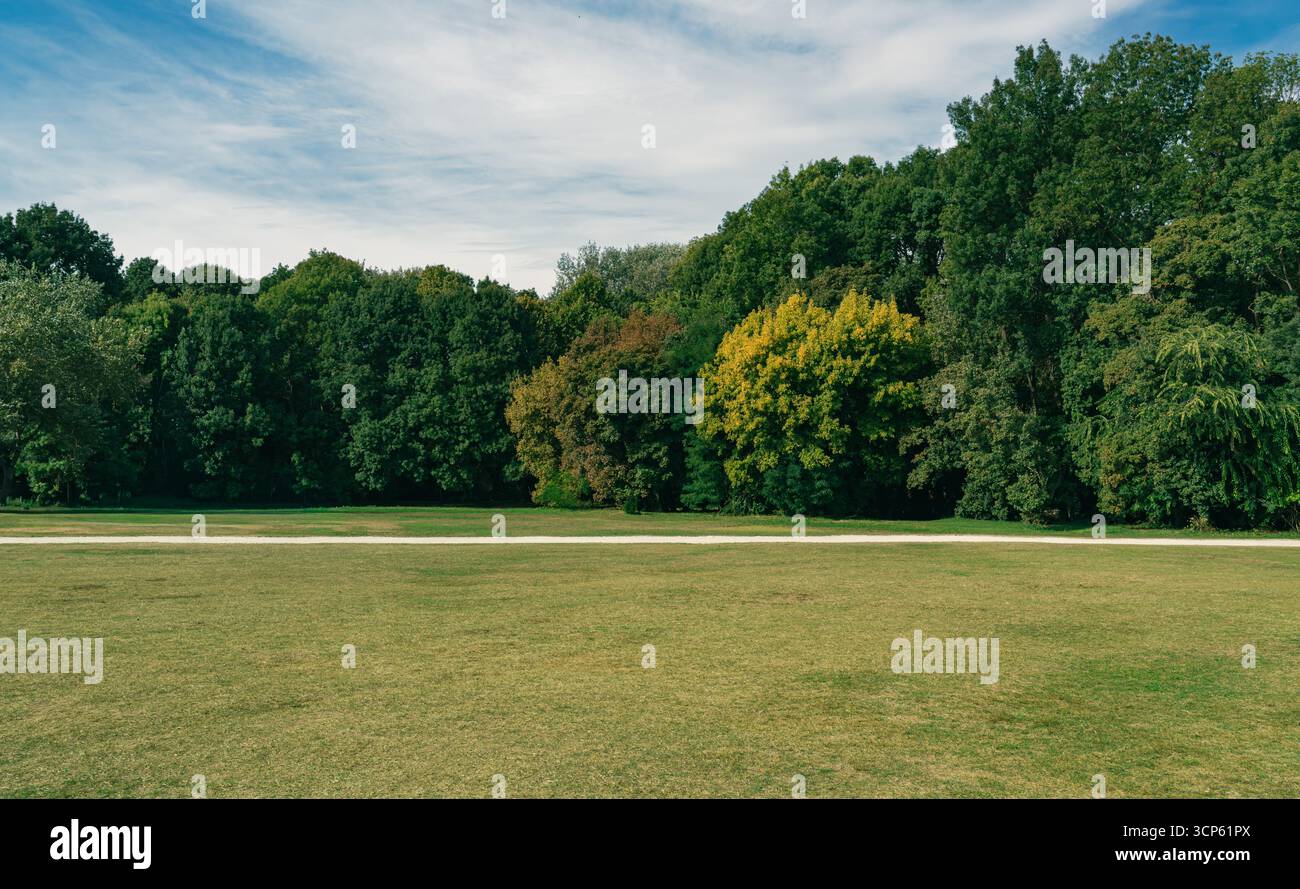 Breites grasbewachsenes Feld mit einem Weg vor dichten grünen Waldbäumen unter teilweise bewölktem Himmel an einem sonnigen Tag in einem öffentlichen Park. Stockfoto