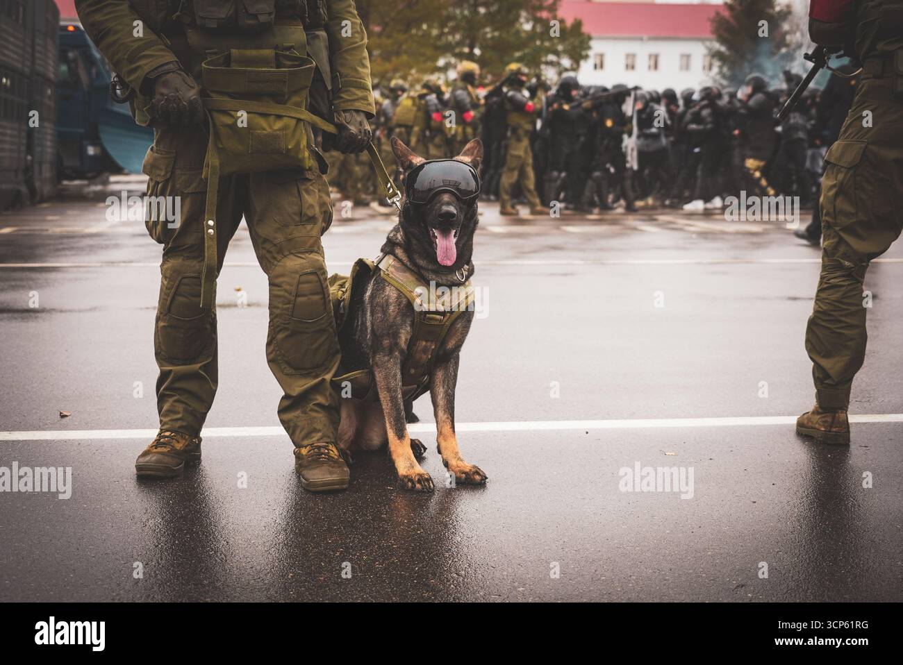 Belarussischer Soldat hält belgischen Malinois Polizeihund bei Unruhen fest Stockfoto