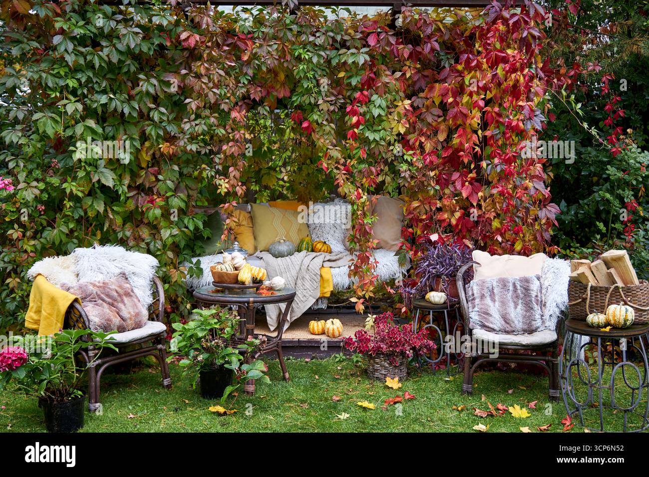 Gemütliche Herbstdekoration im Freien mit Kürbissen, bunten Blättern, Kissen und Decken. Saisonale Hygge-Atmosphäre, rustikale Gartenszene, perfekt für das Herbstleben Stockfoto