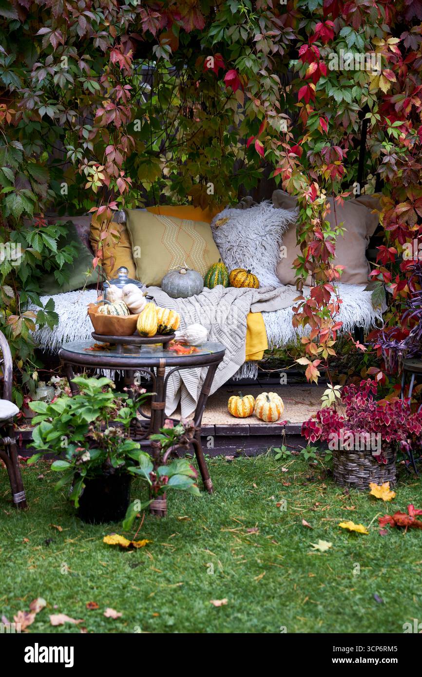 Gemütliche Herbstdekoration im Freien mit Kürbissen, bunten Blättern, Kissen und Decken. Saisonale Hygge-Atmosphäre, rustikale Gartenszene, perfekt für das Herbstleben Stockfoto