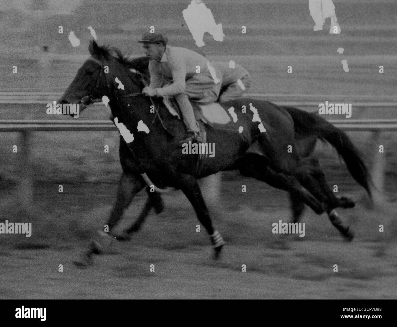 Caranna (A. Mulley) auf der Außenseite und Electro (W. Camer) sind gut aufgehoben, als sie heute ihr Mile and a Quarter Workout in Randwick starten. Sie durften das Tempo schrittweise erhöhen und nachdem Electro gegen Ende wieder gelockert wurde, führte Caranna ihn nach 2.9½. Caranna ist am Samstag beim Derby beliebt. Elektro ist eine der Vorzüge der Metro-Politan am Samstag Woche. September 1955. Stockfoto