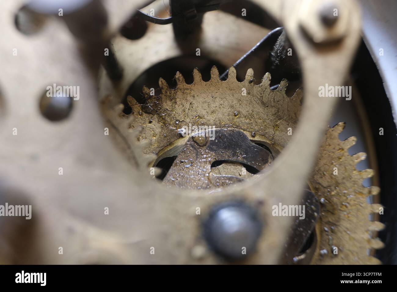Nahaufnahme eines geschmierten Zahnrads Stockfoto