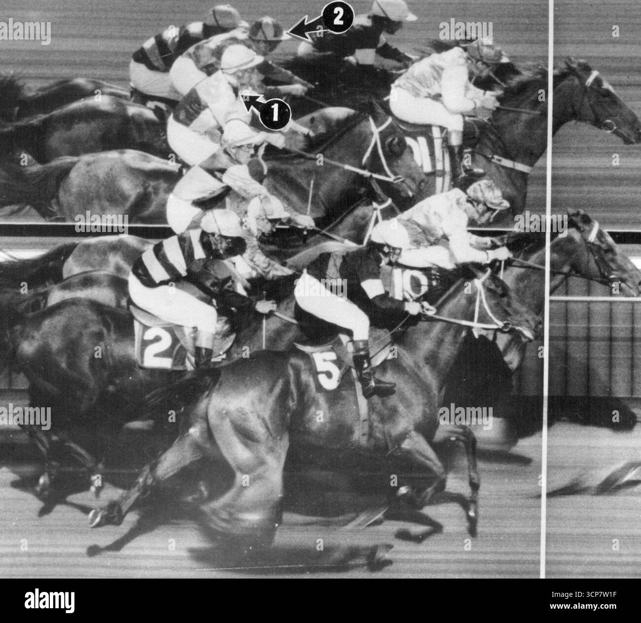 Dieser Druck zeigt das Ende des Anfängerhandikaps in Werribee am Donnerstag, wo doppelter Bright (10) von einem Kopf unseres Leo (5) mit Bore Wong (Schienen) und Hummel (Viertelkappe) für den dritten Schritt gewonnen wurde. Hummelbienenkopf wurde hinter dem Reiter unseres Leo geschwungen, so dass es unmöglich war, sich mit Bore Wongs Nase zu Reihen. Oben ist das umstrittene Ziel in Werribee. Bore Wong (Schienen) tot erhitzt mit Bumble Bee (Viertelkappe). Februar 1917. Stockfoto