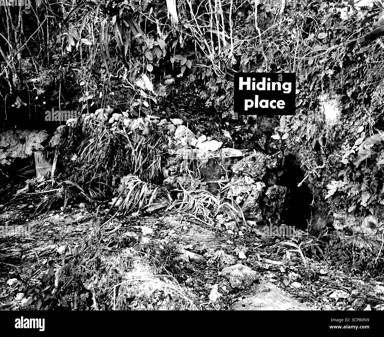 Warum die Japaner schwer zu finden sind -- diese Höhle, die in bergigem Gelände gegraben wurde, bot den Japanern Schutz vor US-Bomben und Granaten, als General MacArthurs Truppen auf Biak Island vor der Küste von Niederländisch-Neuguinea an Land fegten. Die Japaner hatten Korallen um die Öffnung der Höhle gelegt, so dass nur ein kleiner Eingang übrig blieb. 30. Juni 1944. (Foto: US Signal Corps). Stockfoto