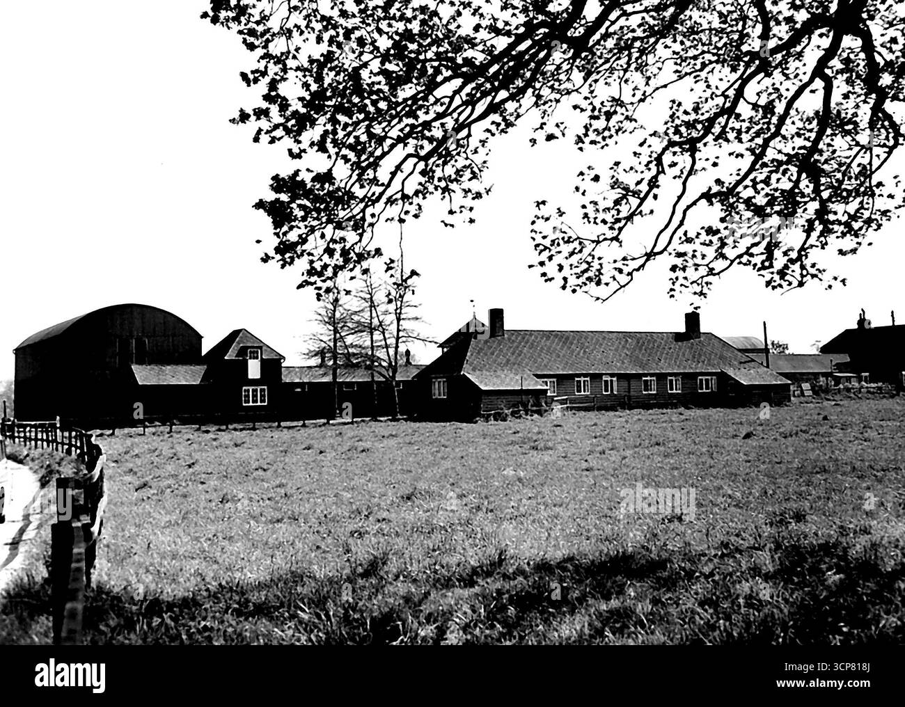 Sir Winston zur Wiederbelebung der 42 Hektar großen Gestüt Farm -- Eine allgemeine Ansicht des 42 Hektar großen Gestüts in New Chapel, nahe Lingfield (Surrey), das von Sir Winston Churchill übernommen wurde. Sir Winston Churchill hat ein 42 Hektar großes Gestüt übernommen, damit alle Pferde, die derzeit in verschiedenen Farmen im ganzen Land leben, zusammengebracht werden können. Diese Form in New Chapel, einem kleinen Weiler, in der Nähe von Ling Field (Surrey) ist seit über einem Vierteljahrhundert verlassen, seit der letzte Besitzer, John Dewar, seine Rennstall-Ställe nach Irland verlegt hat. Das Fahrerlager ist mit Unkraut bedeckt, Zäune sind verfallen und Hecken bewachsen, aber die 2 Stockfoto
