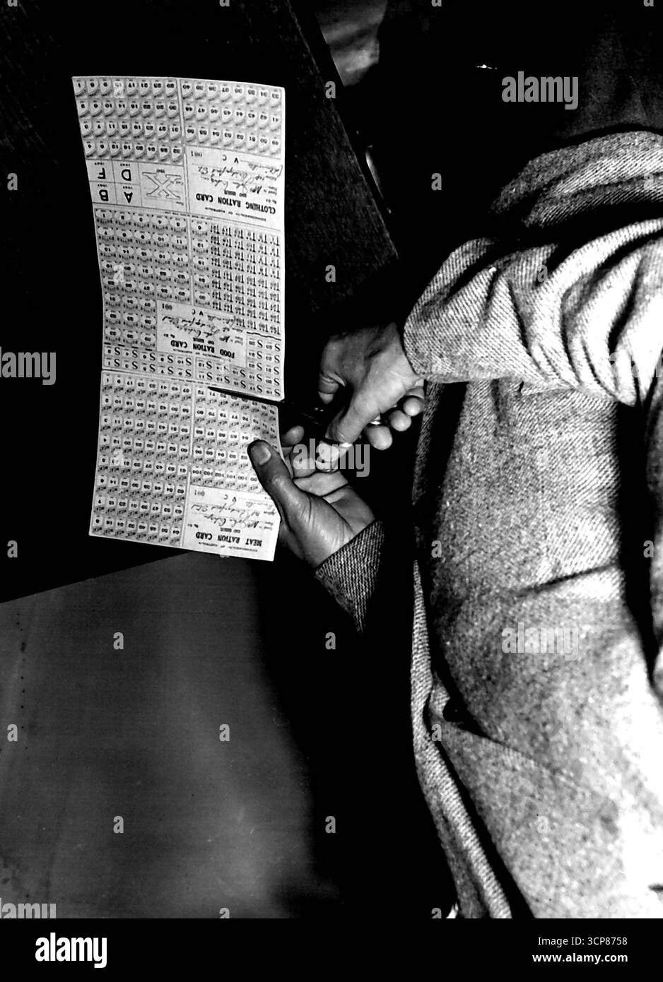 Neue Rationskarte -- Trennen Sie die drei Abschnitte der neuen Rationskarte, die Fleisch, Lebensmittel (Lebensmittel) und Kleidung sind. Schneiden Sie mit einer Schere ordentlich entlang der Perforationsmarkierungen ab. Dezember 1946. Stockfoto