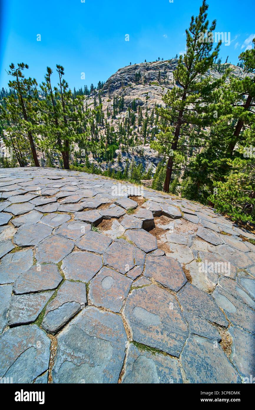 Basaltsäulen und Tannen am Devils Postpile in Kalifornien unter dem Sommerhimmel Stockfoto