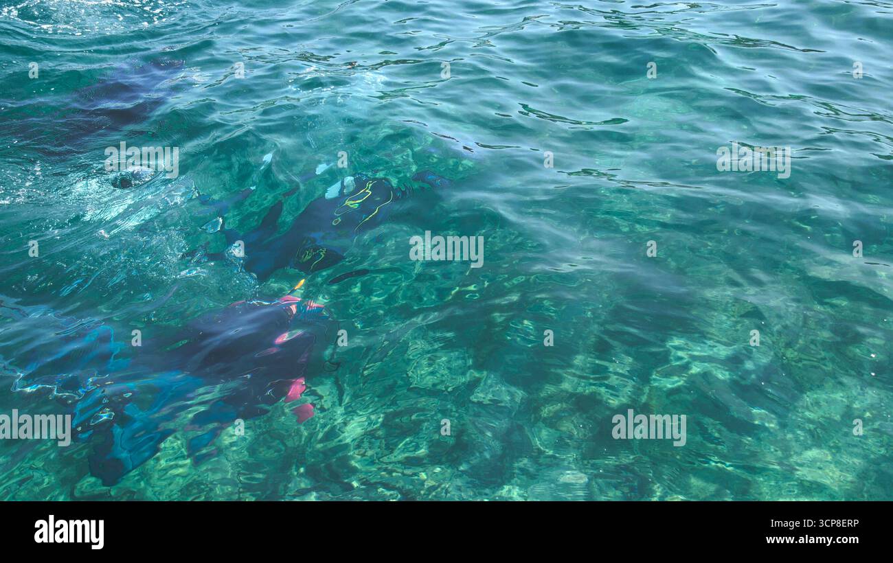 Blick auf die Wasseroberfläche mit Tauchern, die direkt unter der Wasseroberfläche sichtbar sind und sich darauf vorbereiten, hervorzutreten Stockfoto