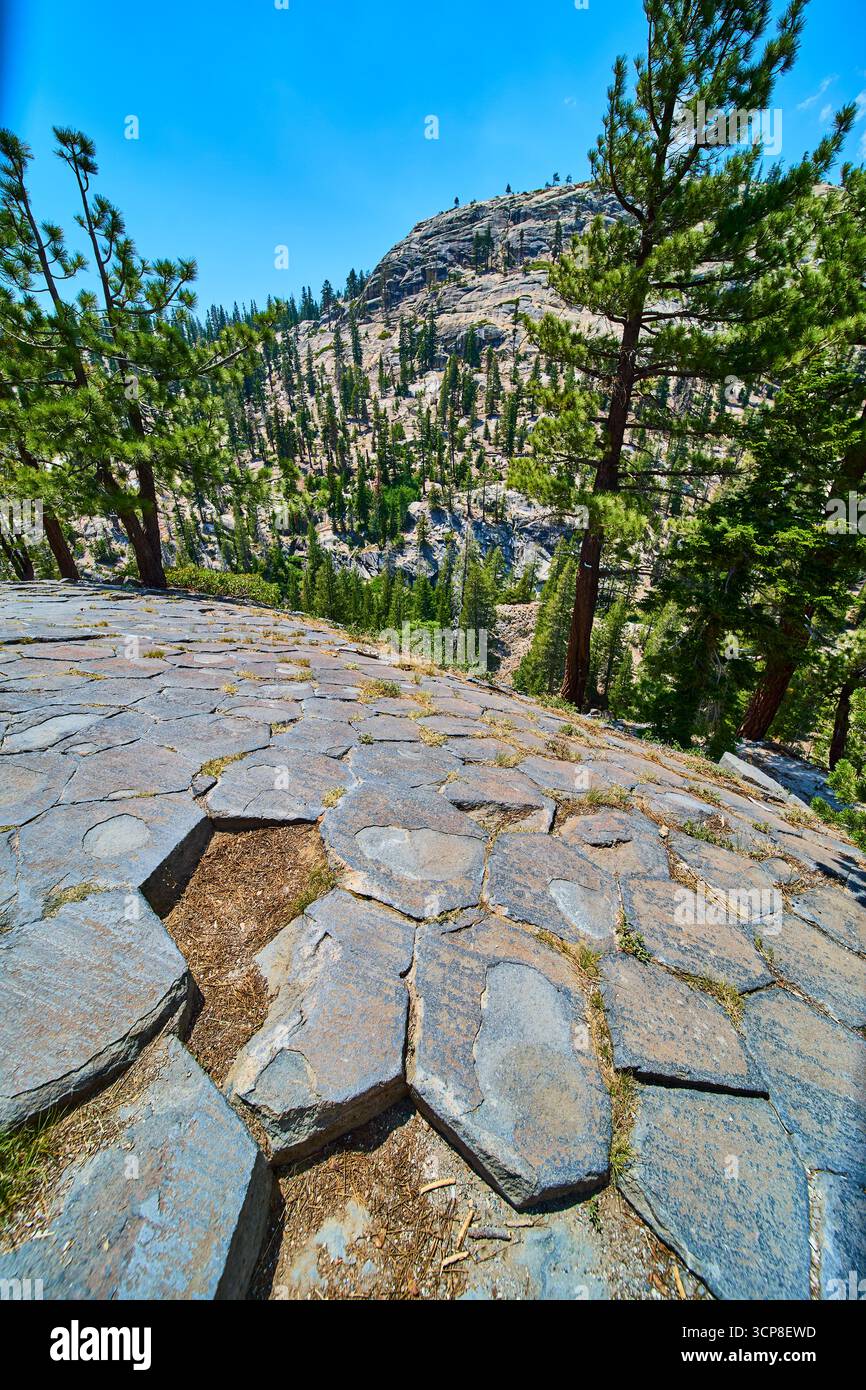 Basaltsäulen Pine Trees and Mountain Landscape at Devils Postpile California Stockfoto