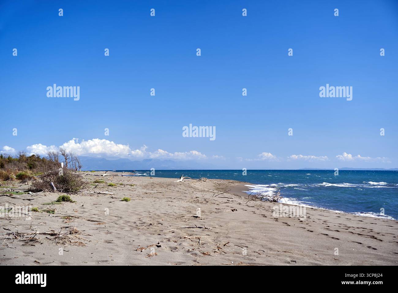 Wilder Sandstrand an der Mittelmeerküste auf der Insel Ada Bojana, Montenegro Stockfoto