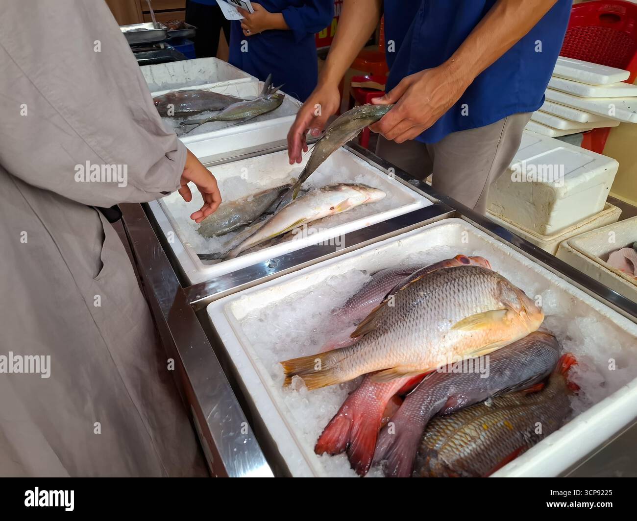 Frisch gefangener Fisch wird auf Eis auf Einem Meeresfrüchtemarkt präsentiert, wobei die Hände nach Auswahl greifen Stockfoto