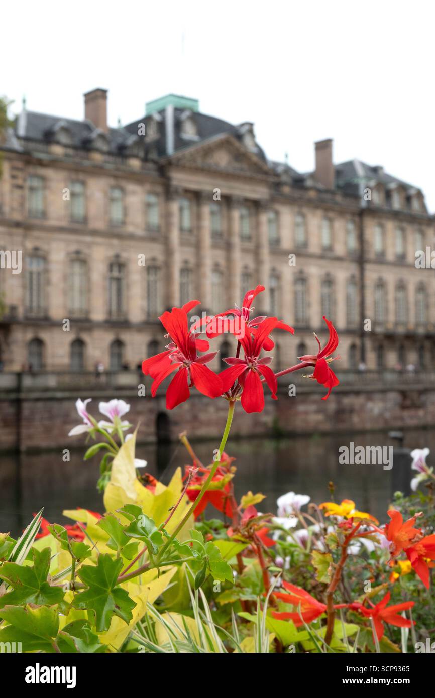 Straßburg Frankreich. Der offizielle Sitz des Europäischen Parlaments und die historische Stadt ist ein beliebtes Reiseziel in Frankreich. Stockfoto