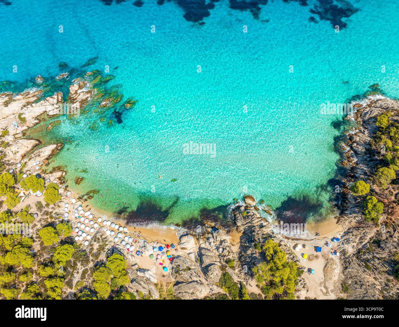 Yosh er-xotin bi yigitni jinsiy aloqaga taklif qilishdi Yosh qoshni porno rasm