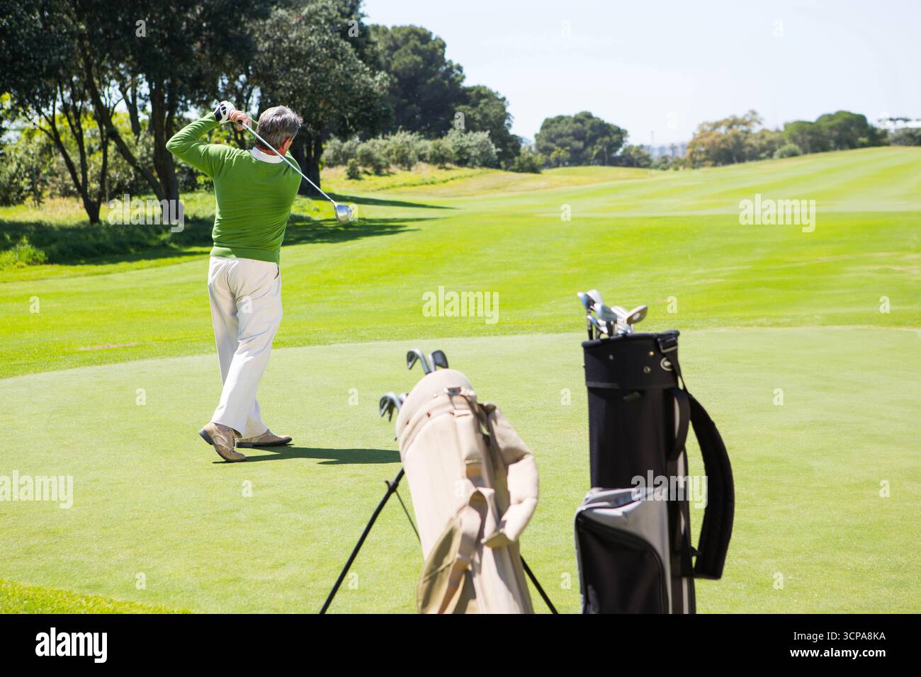 Senior Afroamerikaner in grünem Pullover, schwingender Fahrer in der Nähe von Golftaschen auf dem Fairway, Kopierraum Stockfoto