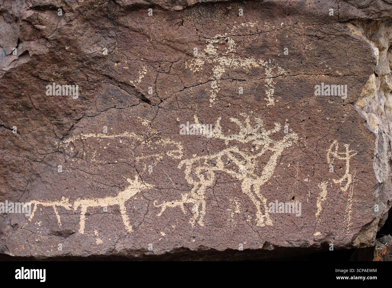 Die Gurvan Mandal Felsen enthalten Bilder von Tieren, die in der Region einzigartig sind, wie Hirsche, Kamele und Schafe. Stockfoto