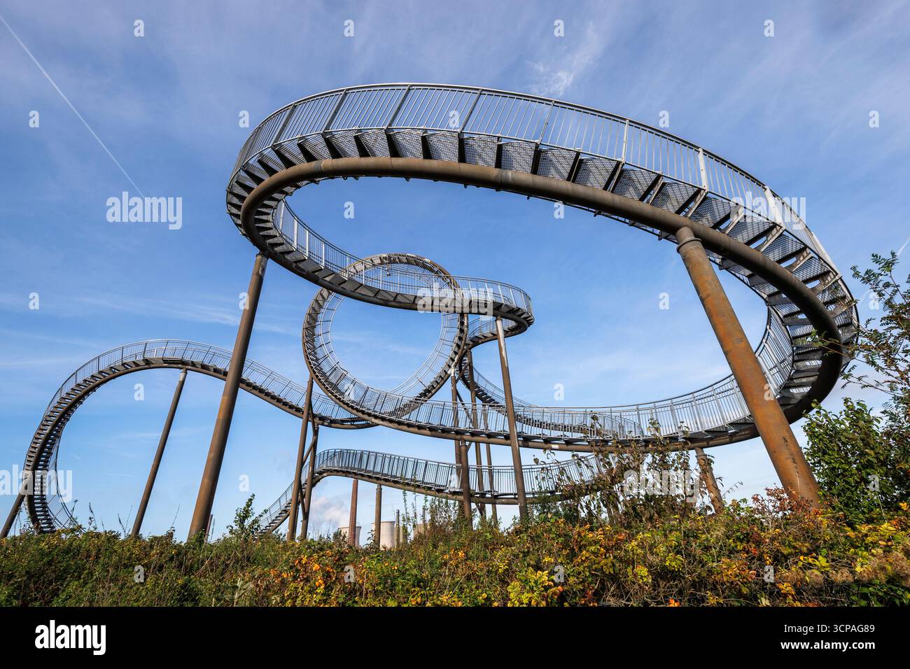 Tiger und Schildkröte - Zauberberg, große Skulptur von Heike Mutter und Ulrich Genth auf der Heinrich-Hildebrand-Höhe im Angerpark in Duisburg-Angerhausen, Stockfoto