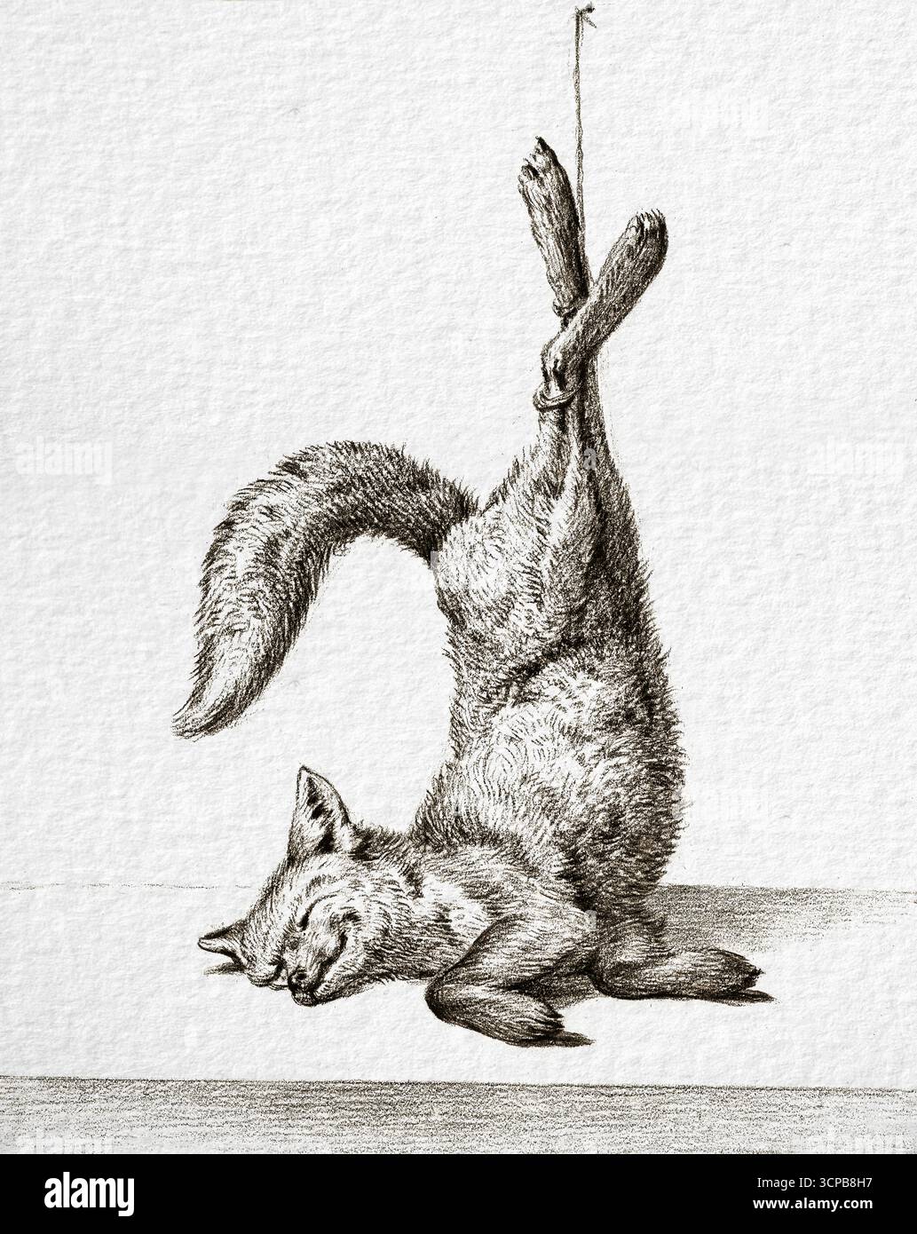 Dead Fox Hanging From Paws (1815) von Jean Bernard - französisches Jagdstillleben aus dem 19. Jahrhundert, Animal Study, Public Domain Artwork Stockfoto