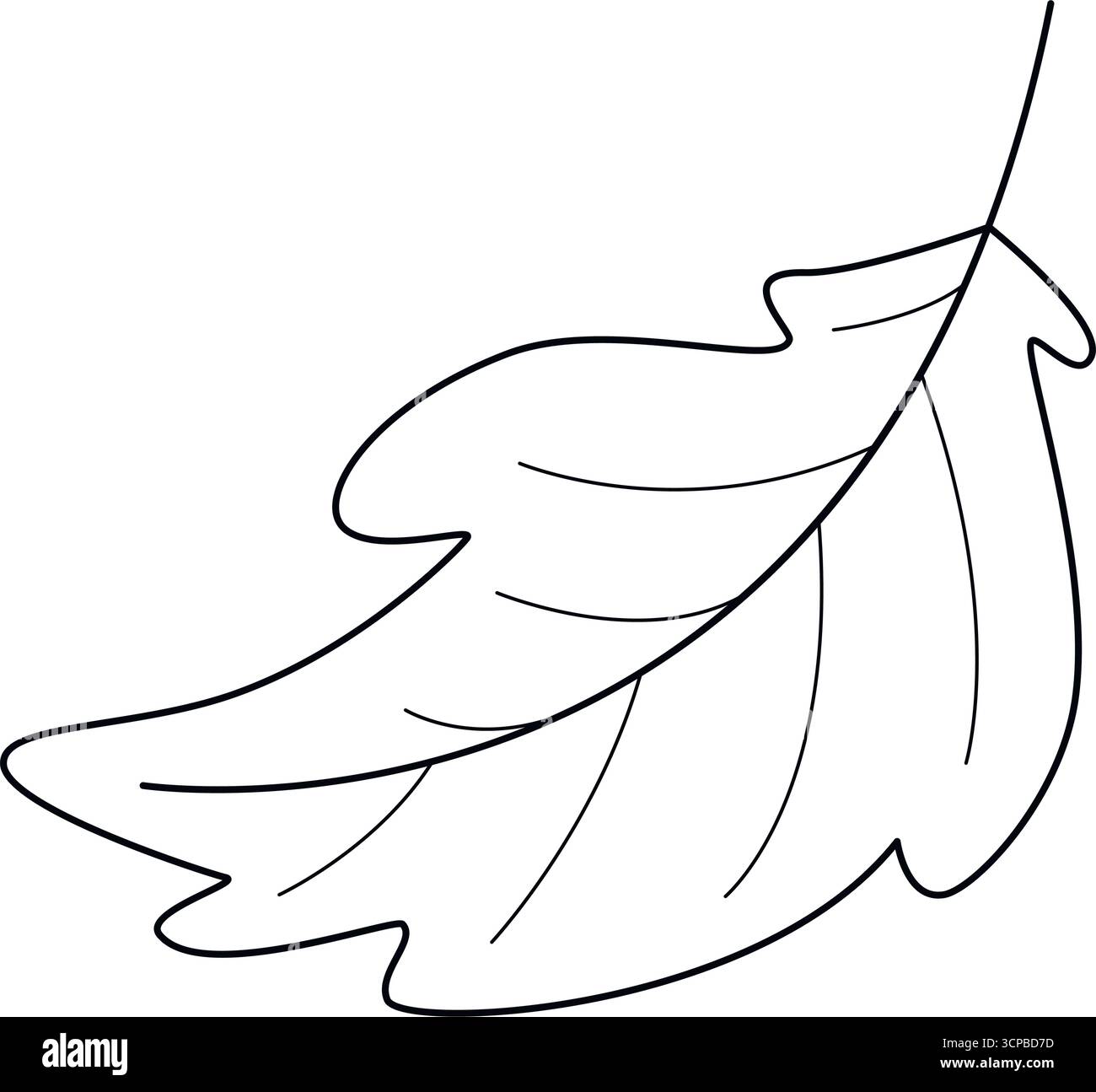Gefallene Eichenblatt-Doodle-Zeichnung im Skizzenstil. Einfache handgezeichnete Umrissskizze mit schwarzem Baumblatt. Symbol Botanisches Symbol, Vektorelement Stock Vektor