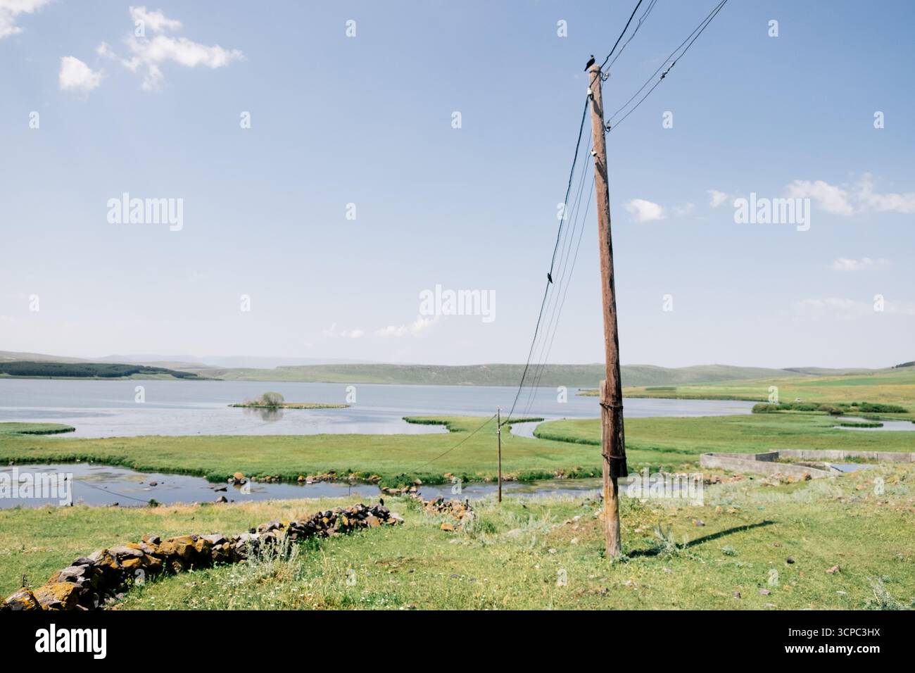 Paravani Lake, Javakheti, Georgia. 18. Juli 2020. Krähen auf Drähten am Seeufer Stockfoto