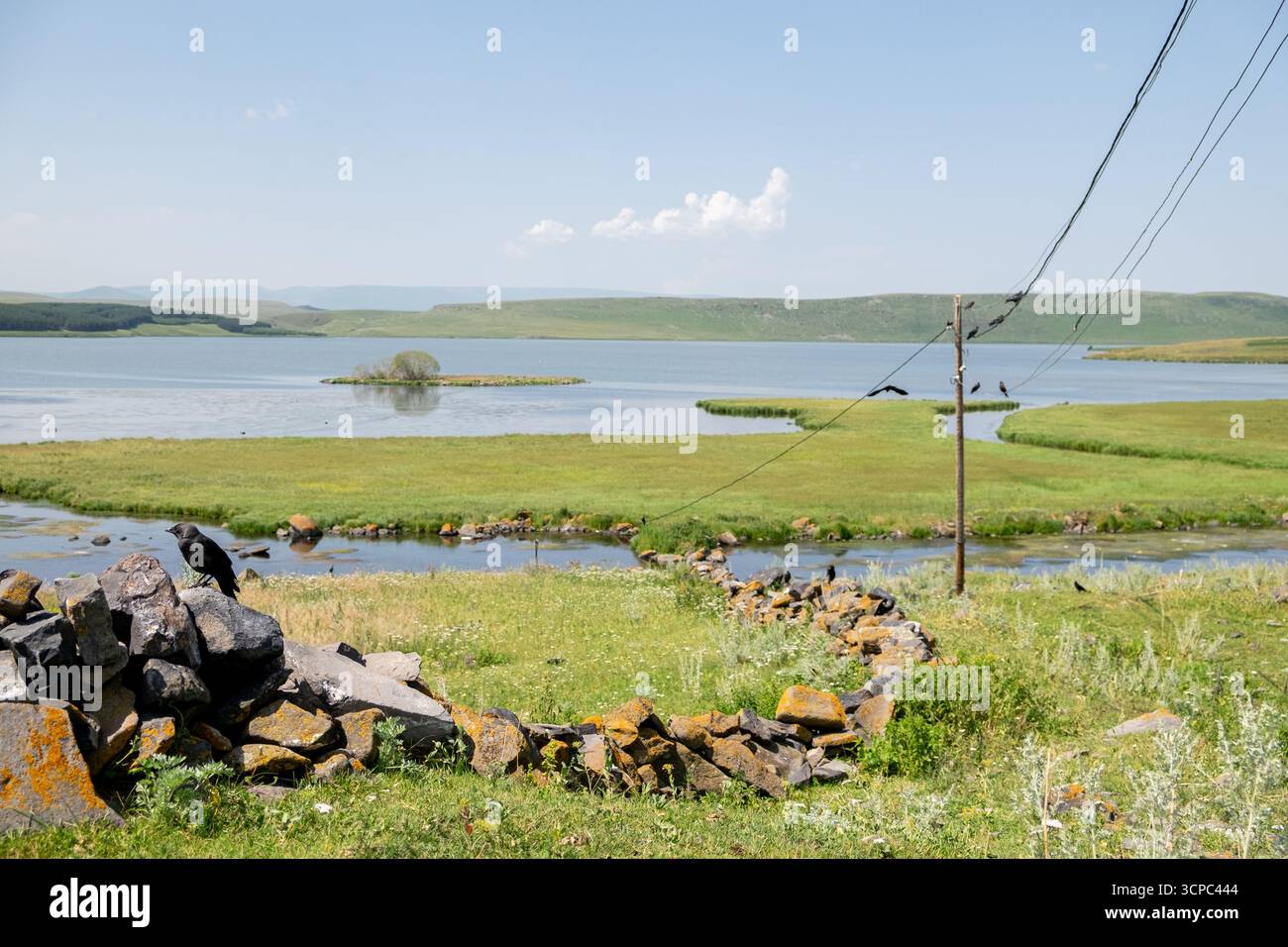 Paravani Lake, Javakheti, Georgia. 18. Juli 2020. Krähen auf Drähten am Seeufer Stockfoto