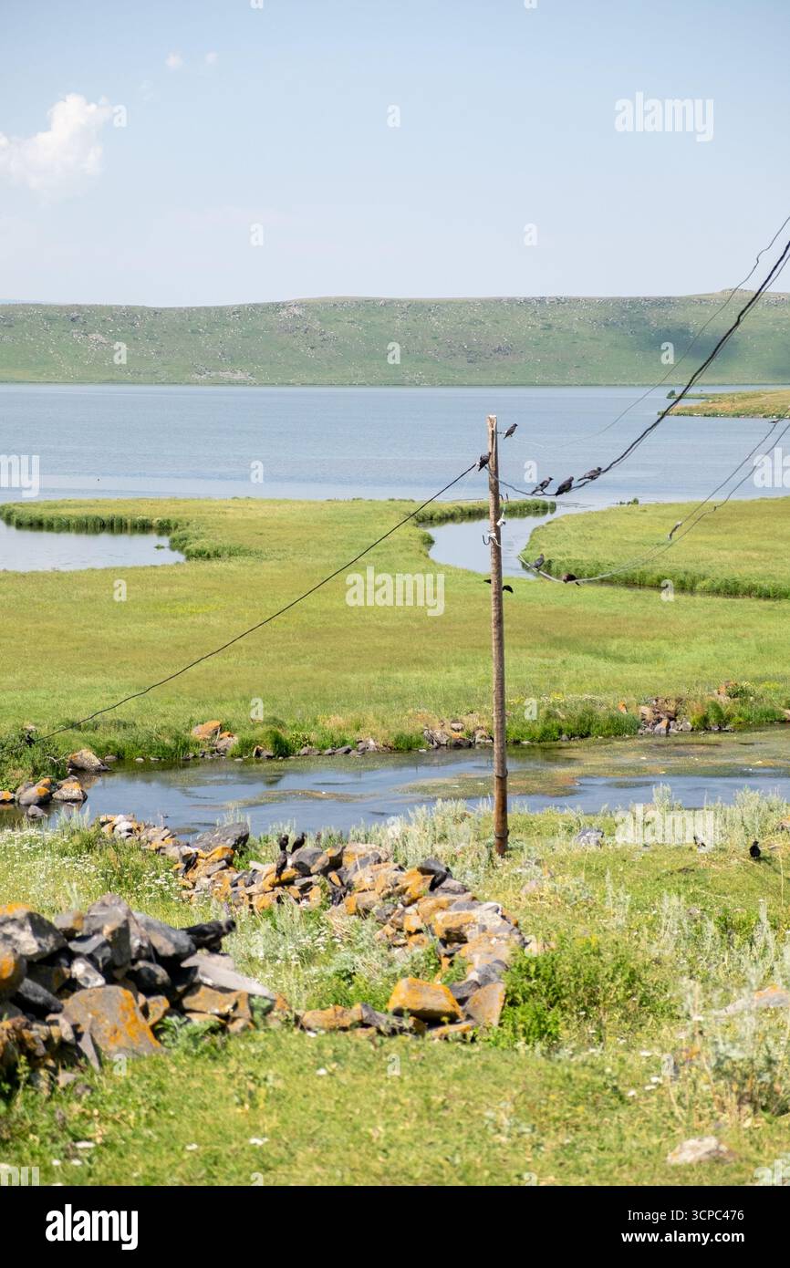 Paravani Lake, Javakheti, Georgia. 18. Juli 2020. Krähen auf Drähten am Seeufer Stockfoto