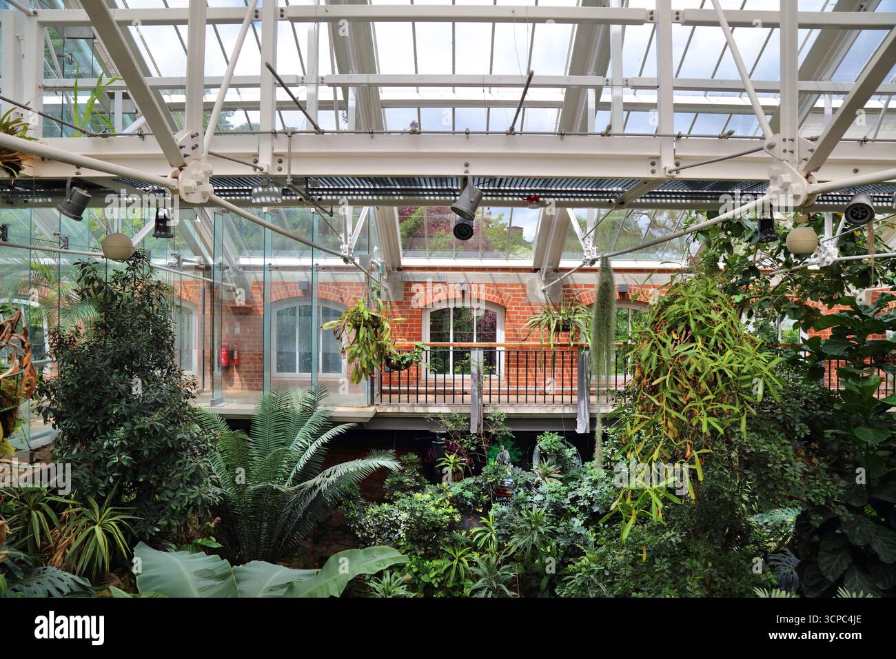 BELFAST, Großbritannien - 22. JUNI 2024: Das historische viktorianische Wintergarten der Tropical Ravine in den Botanic Gardens in Belfast, Nordirland. Stockfoto