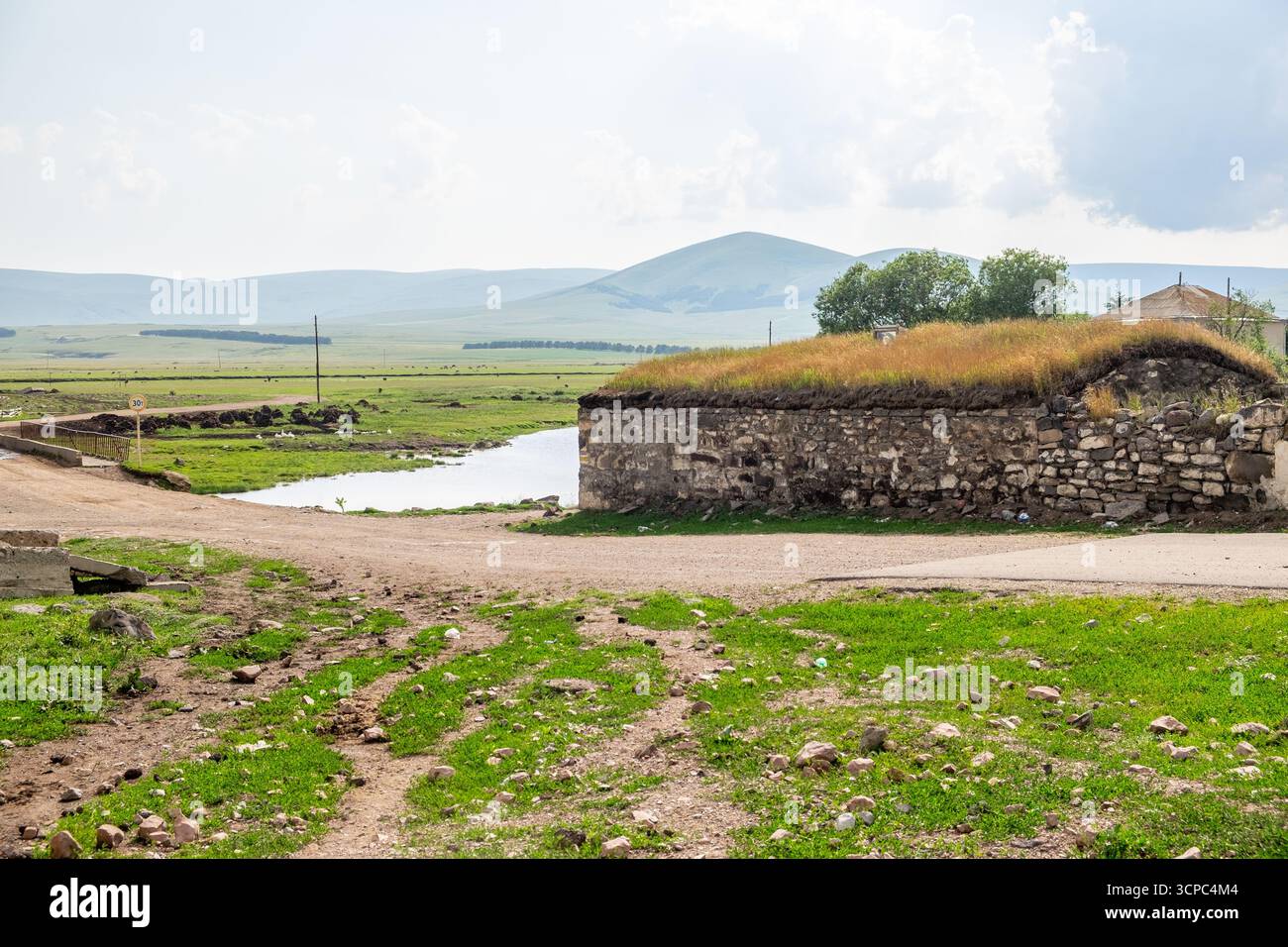 Paravani Lake, Javakheti, Georgia. 18. Juli 2020. Hahn im Gemüsegarten Stockfoto