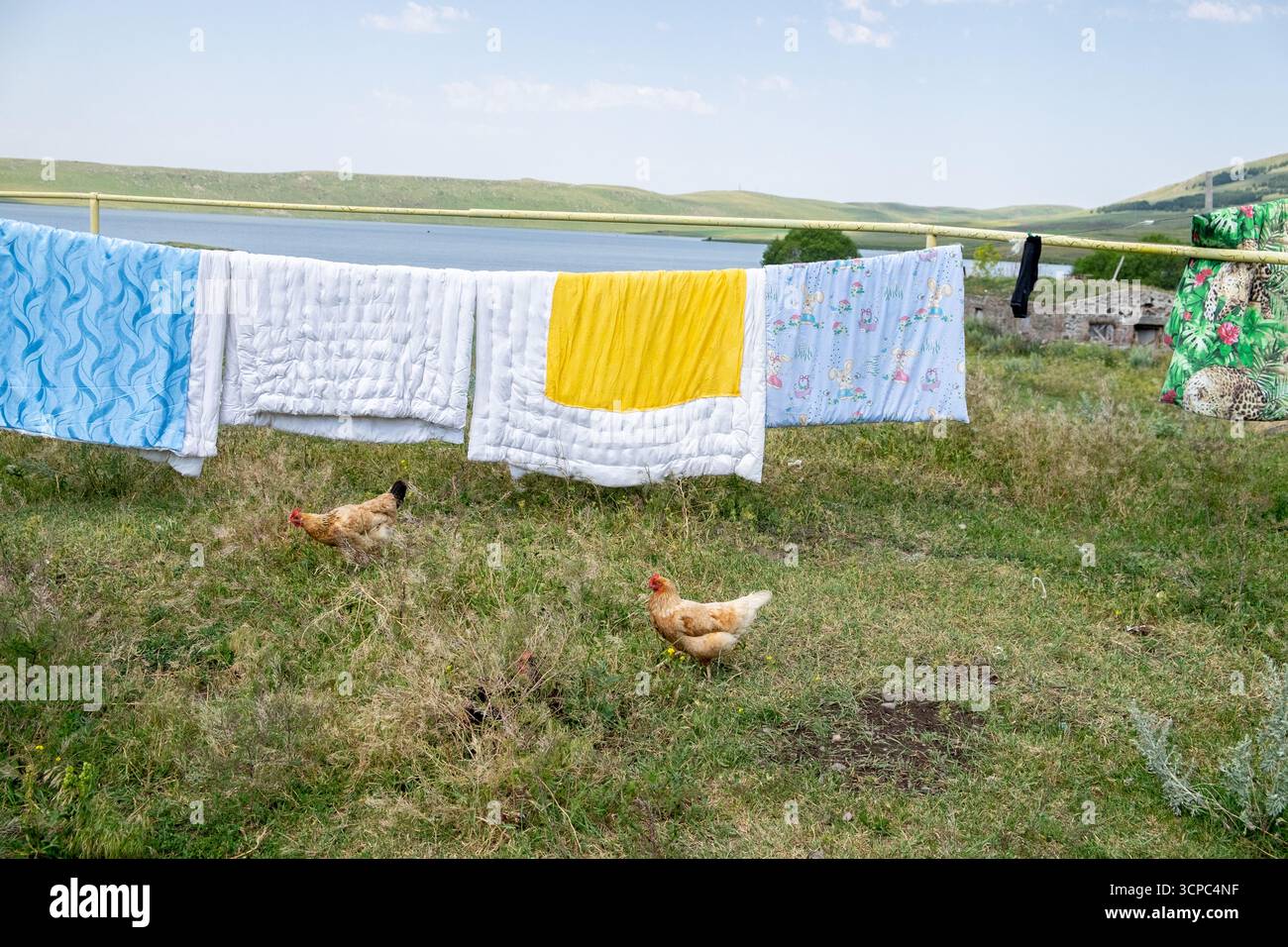 Paravani Lake, Javakheti, Georgia. 18. Juli 2020. Hühner in der Nähe der Wäscheleine Stockfoto
