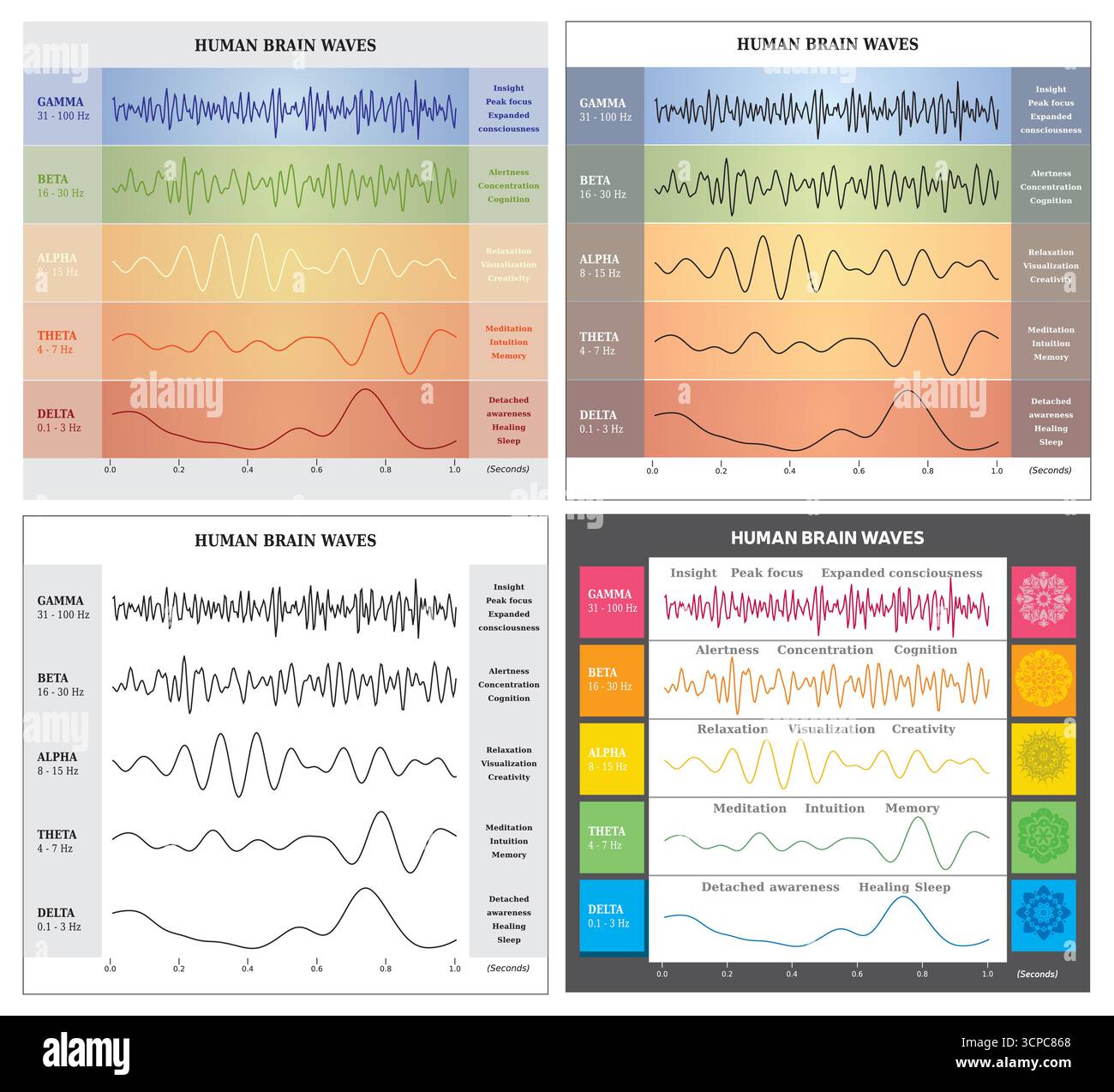 Satz von vier menschlichen Gehirnwellen Diagrammen Farben und Chakren mit Erklärungen - englischer Vektor Stock Vektor