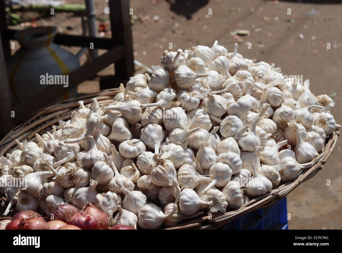 Ein Haufen weißer Knoblauch wird in einem Korb zum Verkauf gestapelt. Stockfoto