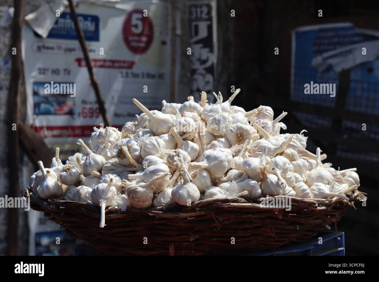 Ein Haufen weißer Knoblauch wird in einem Korb zum Verkauf gestapelt. Stockfoto